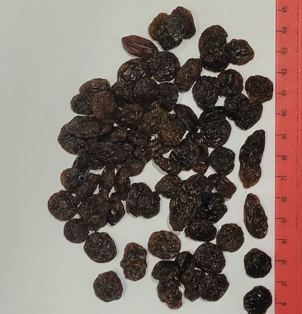 Raisins Thompson Bold Choice Redsun 12.5kg