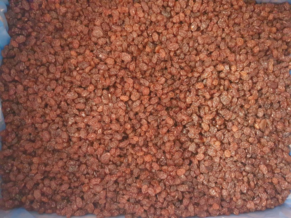 Raisins Thompson Midget Choice Redsun 12.5kg