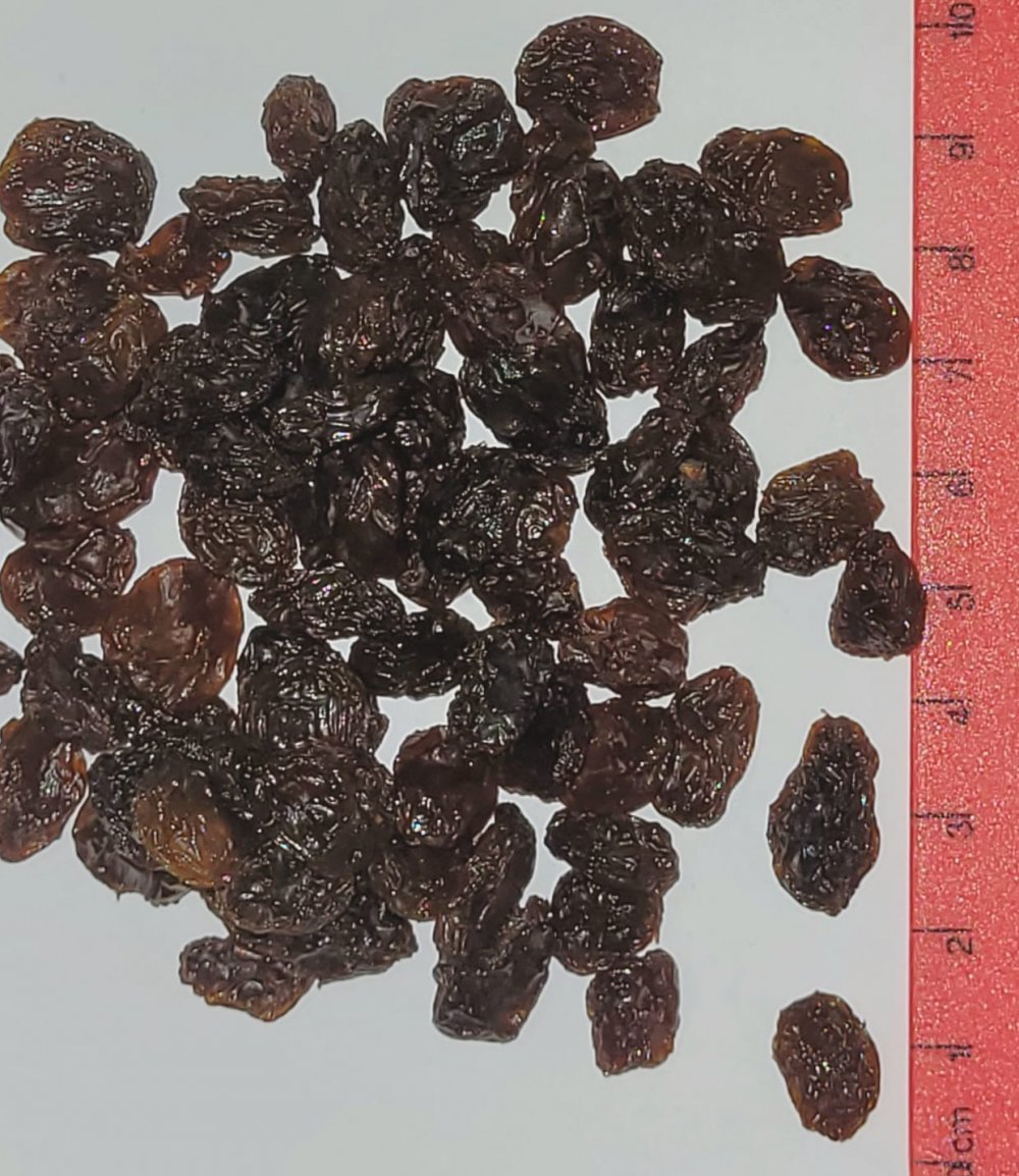 Raisins Thompson Select Choice Redsun 12.5kg